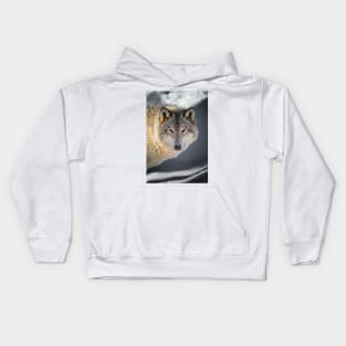 Gray Wolf Kids Hoodie